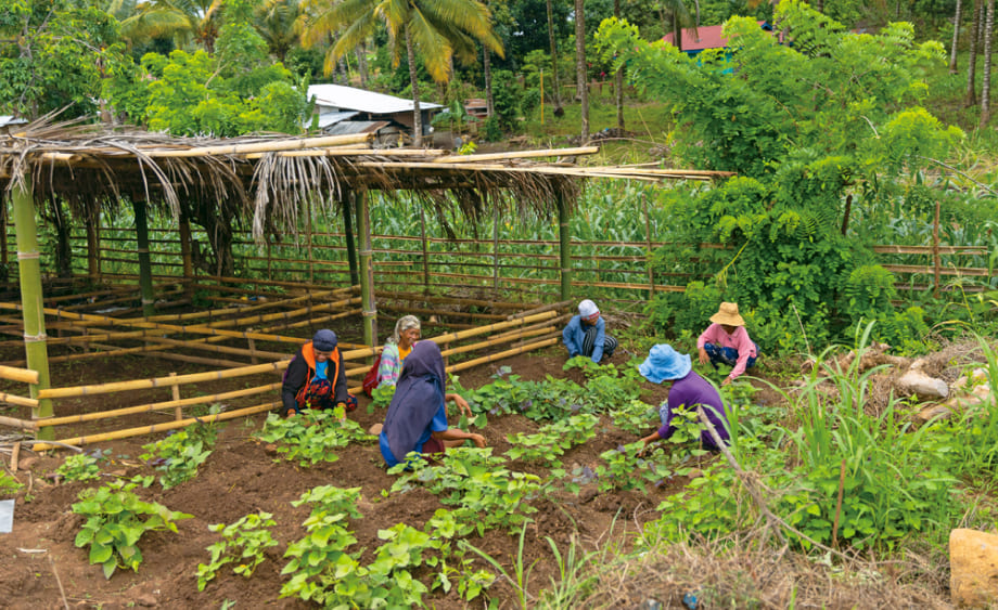 食料支援による資産創出（Food Assistance for Assets:FFA）プログラムによって農作業を行うフィリピンの人びと