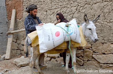 食料をラバに載せ運ぶ写真