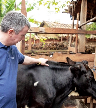 地元の酪農場を訪問した、ケリー社の専門家。