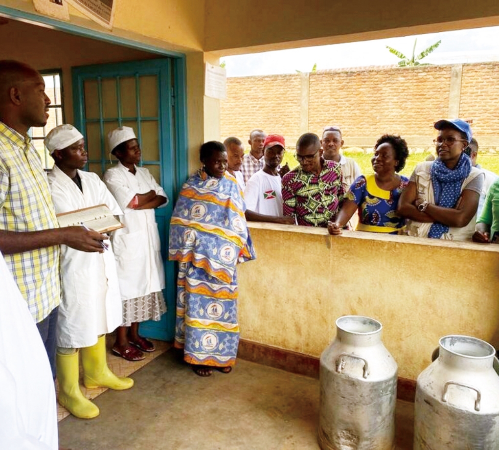 「給食で提供する牛乳が、地元酪農家の生産性向上にもつながっています」