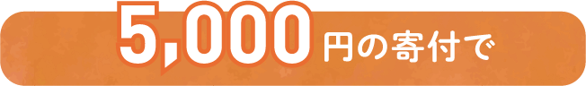5,000円の寄付で