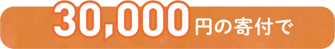 30,000円の寄付で